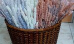 IMG_20191008_094740