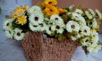 IMG_20191008_094836