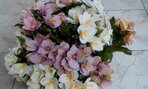 IMG_20191008_095033