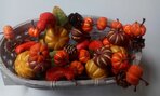 IMG_20191008_095105