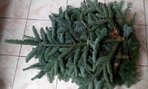 IMG_20191119_084917