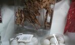 IMG_20191119_085325
