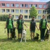 Medziškolský pretek - Šindolka vo všeobecnom výcviku psov