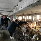 Exkurzia na poľnohospodárskom podniku Farma VELES v Turčianskych Tepliciach