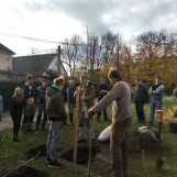 Výsadba desiatich starých odrôd jabloní a hrušiek z projektu SadOVO