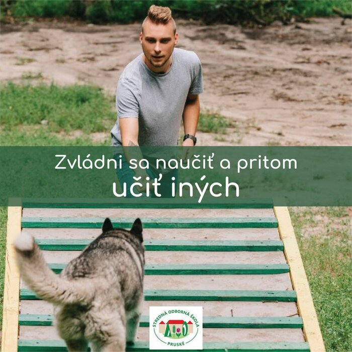 Agropodnikanie - kynológia