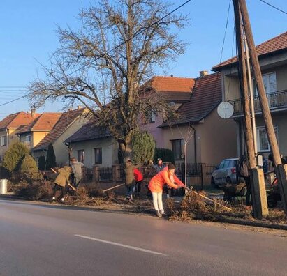 Záhradnícke úpravy