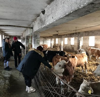 Exkurzia na poľnohospodárskom podniku Farma VELES v Turčianskych Tepliciach
