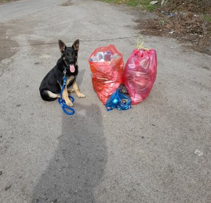 AKTIVITY NAŠICH ŽIAKOV KU DŇU ZEME