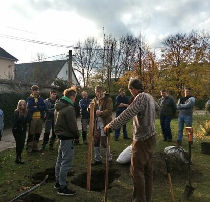 Výsadba desiatich starých odrôd jabloní a hrušiek z projektu SadOVO
