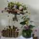 Floravida 2025 - Messenger_creation_33687517-1195-436C-96B8-2B747E78534E