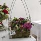 Floravida 2025 - Messenger_creation_34DA9B31-125F-4B61-8E0F-A05F64E85EB9
