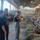 Mobilita erasmus+  v lycée agricole de cibeins, francúzsko - 20250408_165715