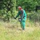 Súťaž v kosení trávy na soš - 513670388_1572004170743876_4949663078848400159_n