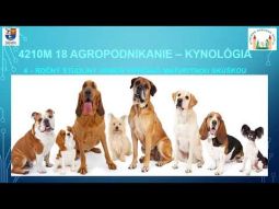 Agropodnikanie - kynológia